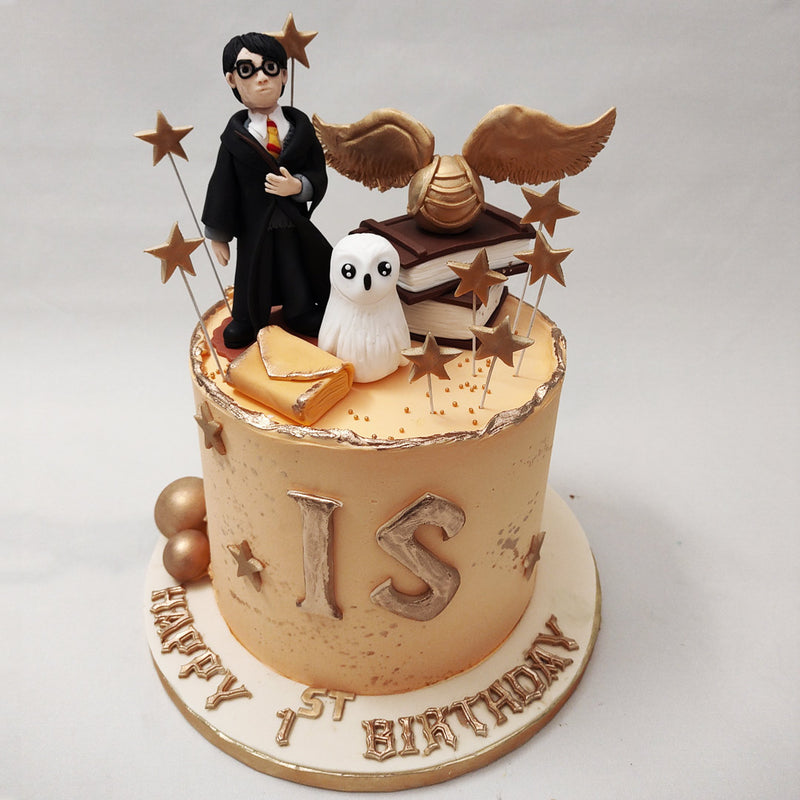 Harry Potter Themed Birthday Cake