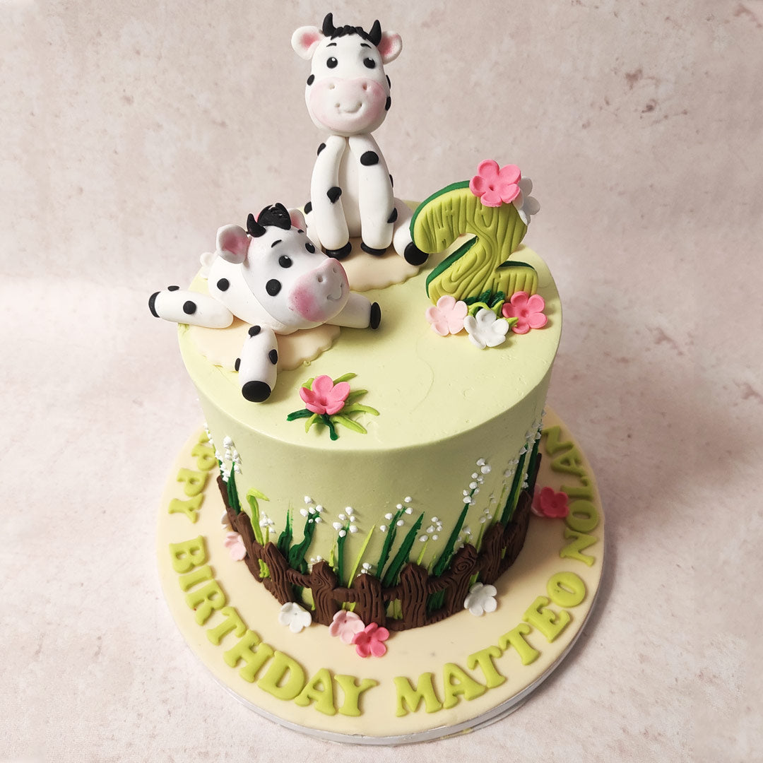 black beef cattle cake | Cow birthday cake, Cow cookies, Cattle cake