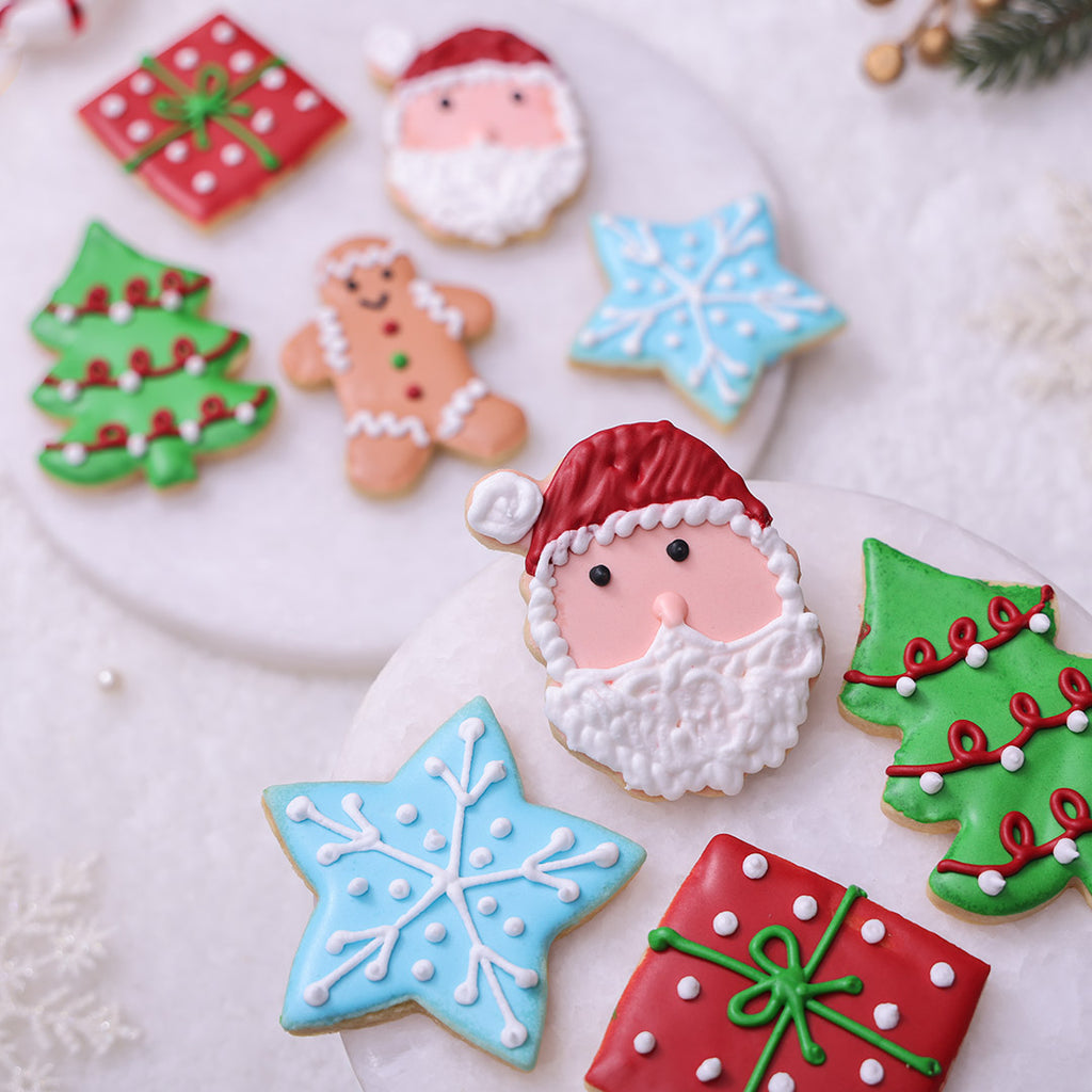 Assorted box of hand-decorated Christmas sugar cookies, including Santa, tree, snowflake, and gift shapes