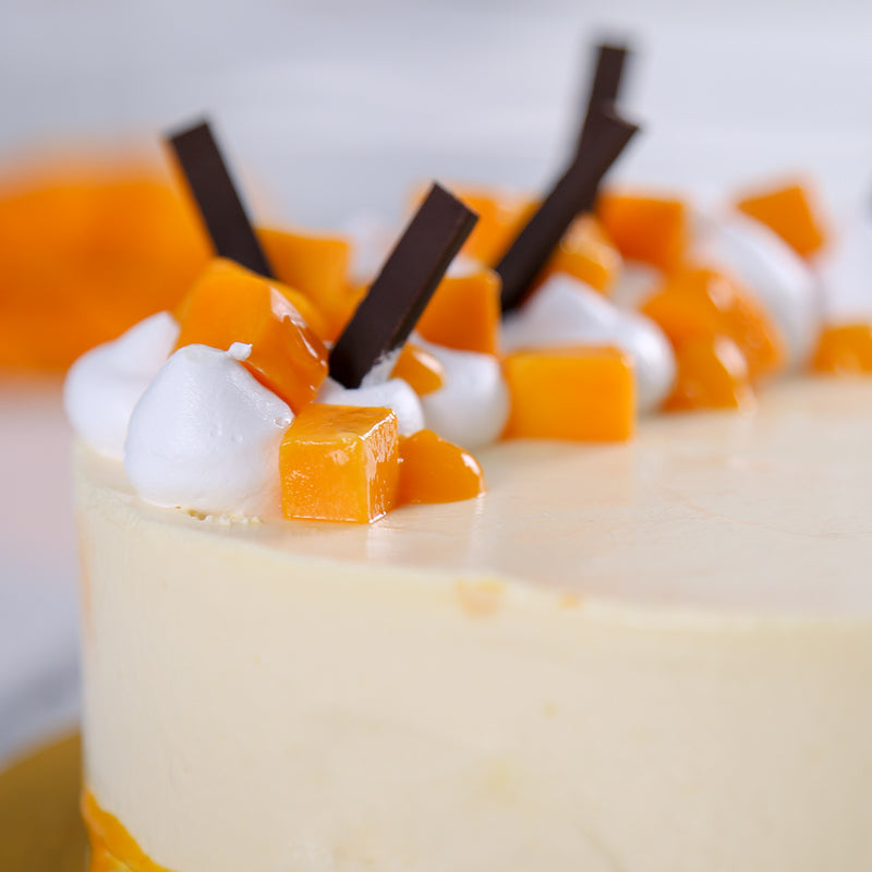 Mango cheesecake closeup view