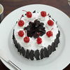 Top view of our black forest cake in which you can see 8 cherries sitting on top of the cake and delicious Belgian chocolate shaving makes this dark forest cake more elegant and beautiful 