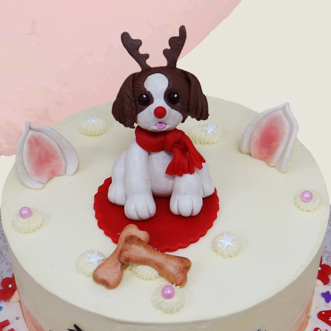 Dog birthday cake | Battersea Dogs & Cats Home