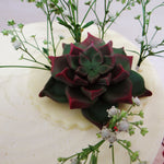 There's a singular aeonium succulent in the corner of this cute cactus cake that's so life-like, you'll be surprised to know that it's edible. This aeonium is nestled in budding branches that make this one of the most elegant succulent cakes.