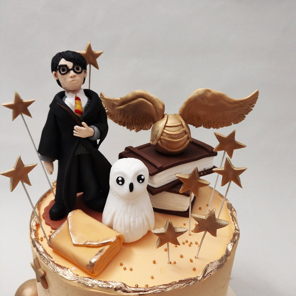 Harry Potter Themed Birthday Cake