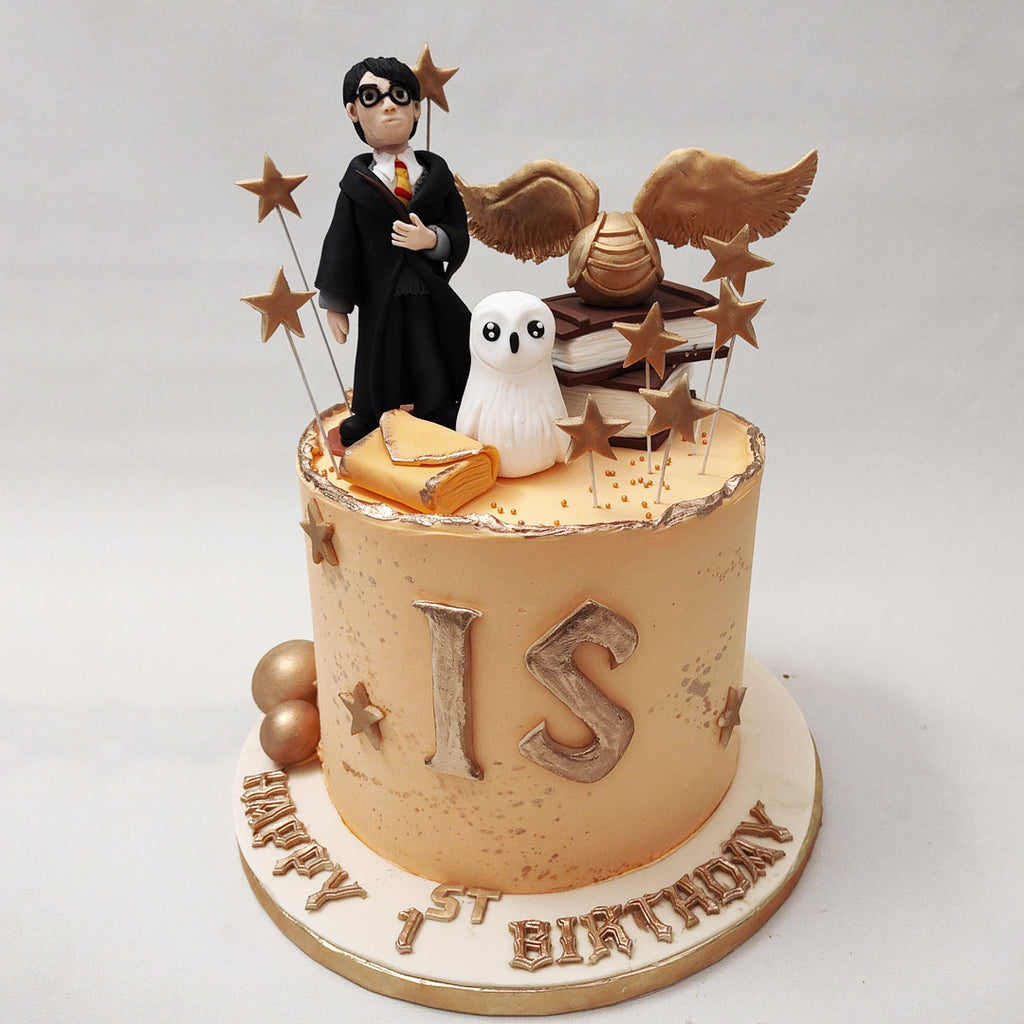 Harry Potter Cake