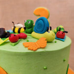 Zoomed view of insect birthday cake which showcases a cute little snail made out of fondant and a happy earthworm cribble around the cake