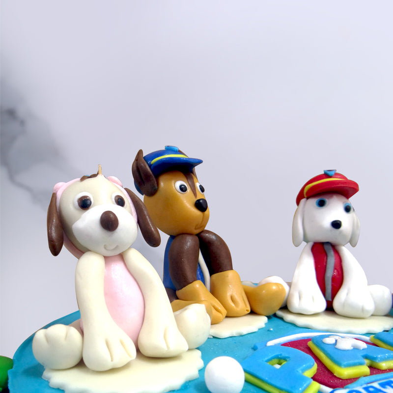 Paw patrol cake with cartoon character rocky, marshall and zuma on top of the cake posing with all his friends of paw patrol cartoon