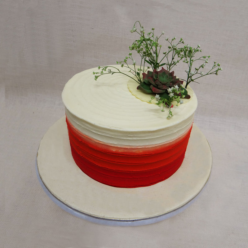 As a birthday cake for mom or a birthday cake for dad, succulent cakes are a pretty safe option as they aren't overly decorative or flashy. One can't go wrong with the simplicity of succulents as a birthday cake for her or a birthday cake for him