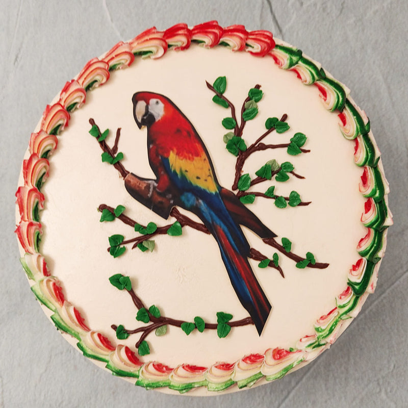 From the neutral-toned, smooth-frosted base to the red and green piping forming a wreath around the border of this  parrot themed birthday cake for him / her on top, this parrot cake design was crafted to utilise the artistic visuals of this beautiful bird through and through. 